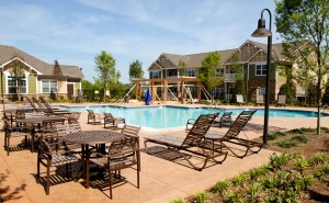 Professional photography in Knoxville, TN